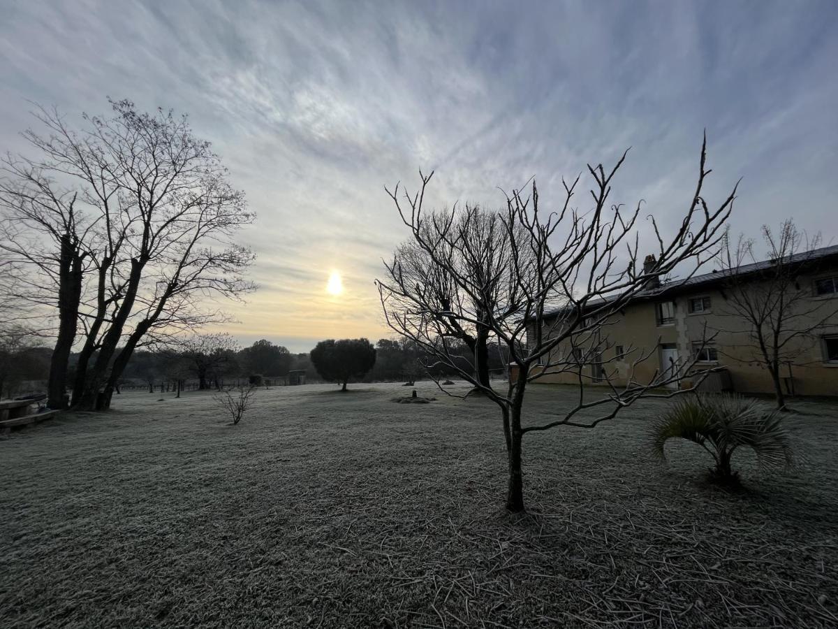 Chateau Canteloup Bed & Breakfast Saint-Caprais-de-Bordeaux Dış mekan fotoğraf