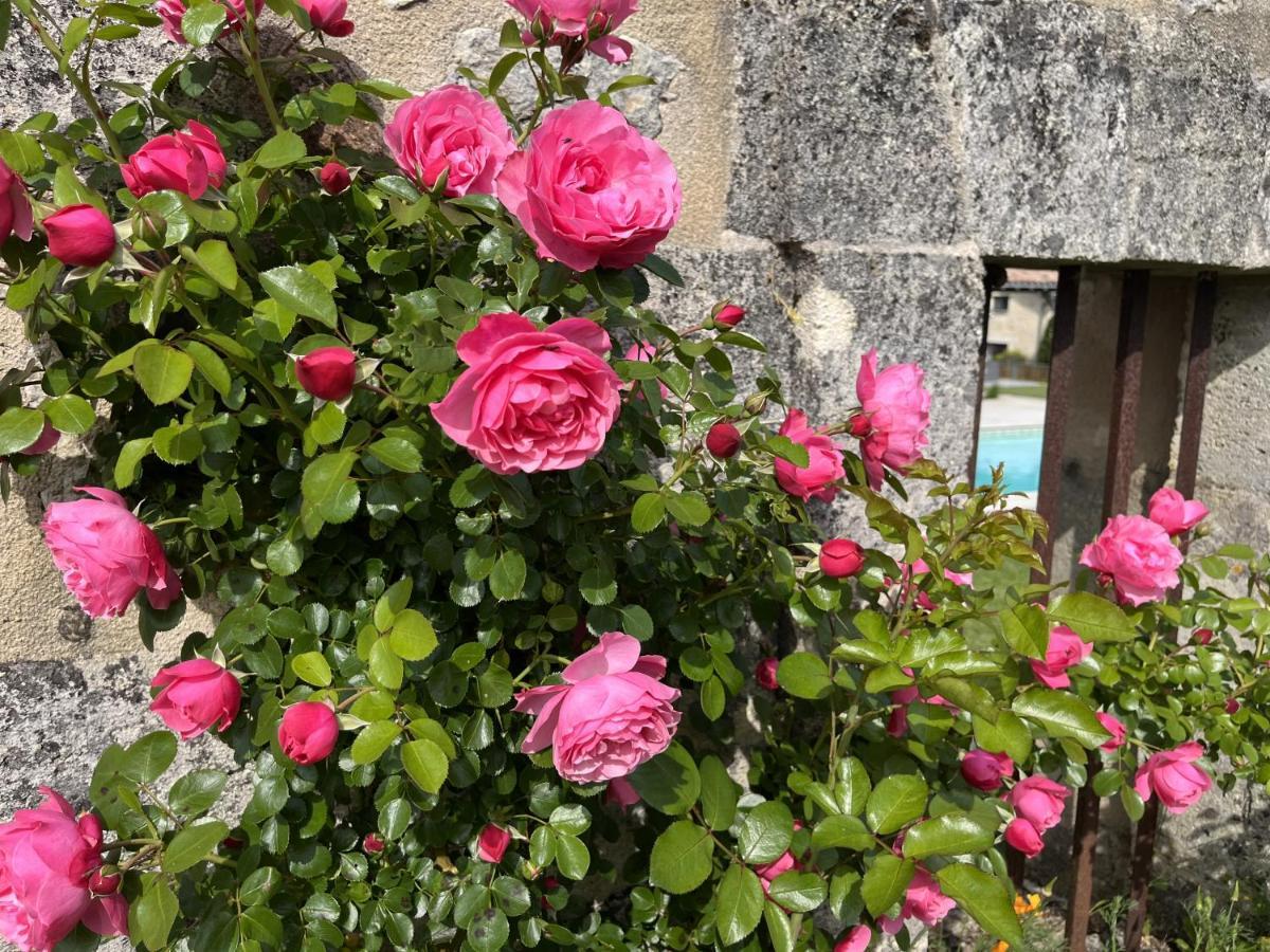 Chateau Canteloup Bed & Breakfast Saint-Caprais-de-Bordeaux Dış mekan fotoğraf