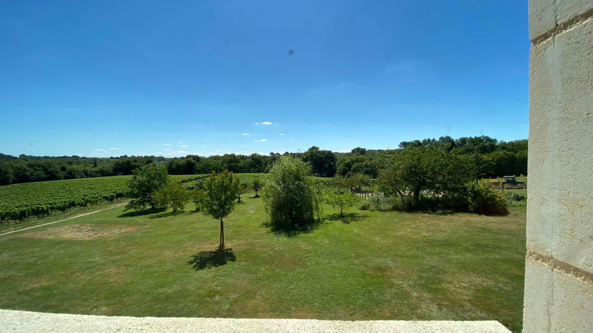 Chateau Canteloup Bed & Breakfast Saint-Caprais-de-Bordeaux Dış mekan fotoğraf